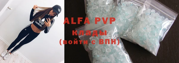 стаф Алзамай