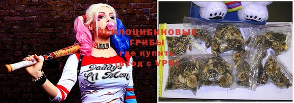 стаф Алзамай
