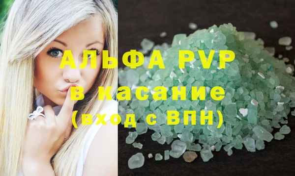 стаф Алзамай