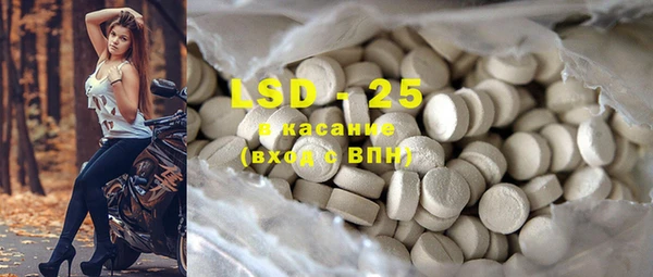 стаф Алзамай