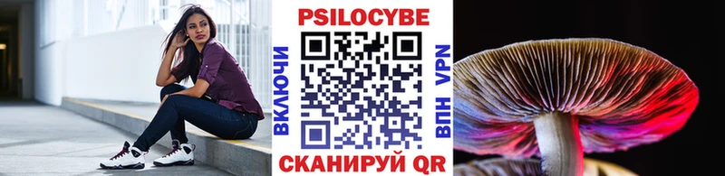 магазин    Уяр  Галлюциногенные грибы MAGIC MUSHROOMS 